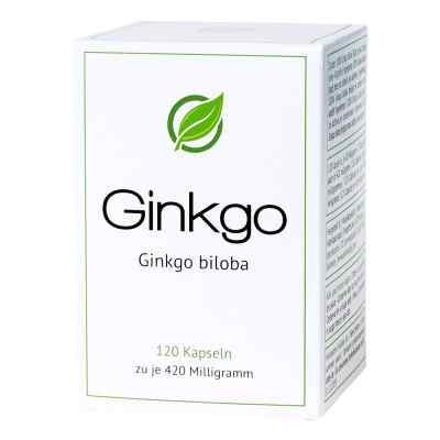 Ginkgo Ginkgo biloba 420 mg 120 stk von LUTOR trading & distribution Limited PZN 13837780